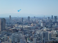 東京タワー4.jpg