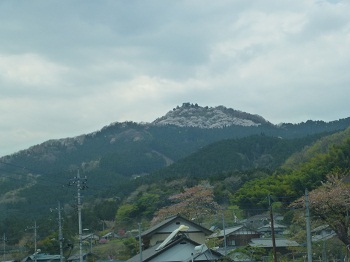 sakurayama2.jpg